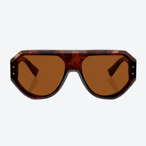 DG4481 Tortoise