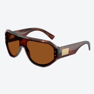 DG4481 Tortoise