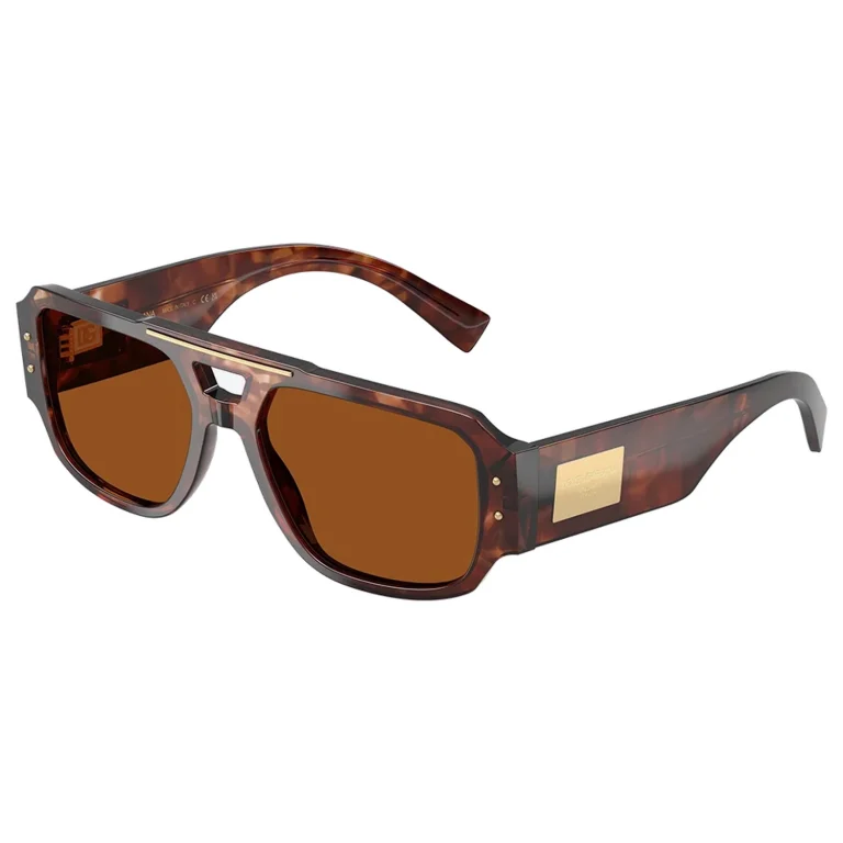 DG4482 Tortoise