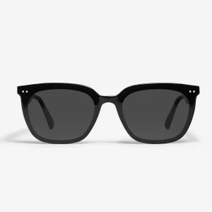 Heizer 01