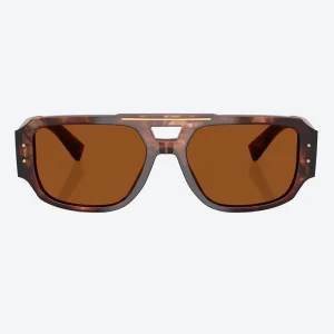 DG4482 Tortoise