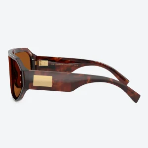 DG4481 Tortoise