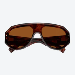 DG4481 Tortoise