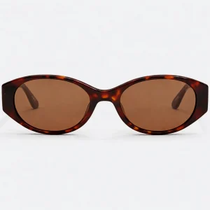 BB0369S 004 Dark Havana Brown