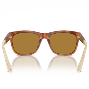 BC4003S Amber Tortoise / Brown