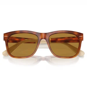 BC4003S Amber Tortoise / Brown