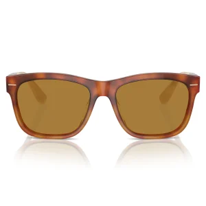 BC4003S Amber Tortoise / Brown