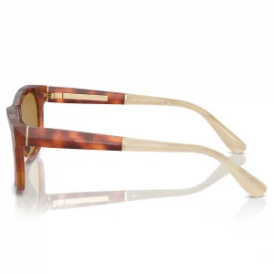 BC4003S Amber Tortoise / Brown