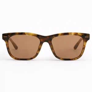 BC4003S Tortoise / Brown