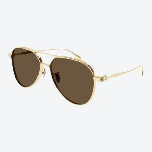 AM0373S Gold Sunglasses