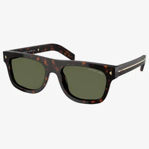 PR B12S Tortoise