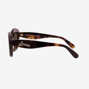 LW40153I Tortoise/Brown