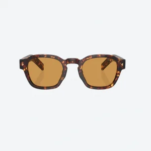 PR A16S Magma Tortoise