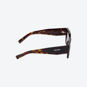 Symbole Sunglasses – Coffee Lenses