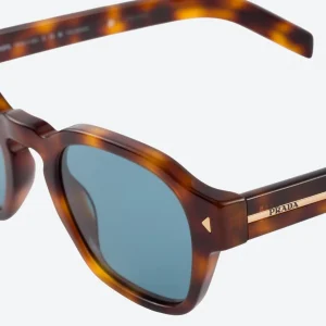 tortoiseshell sunglasses with the iconic metal plaque