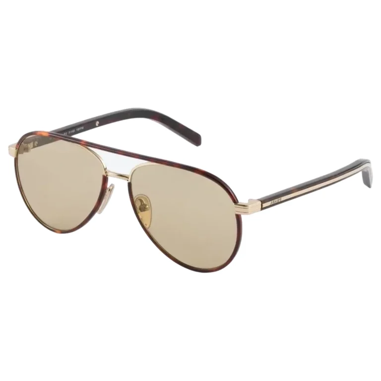 Sunglasses with the Iconic Metal Plaque – Camomile Lenses