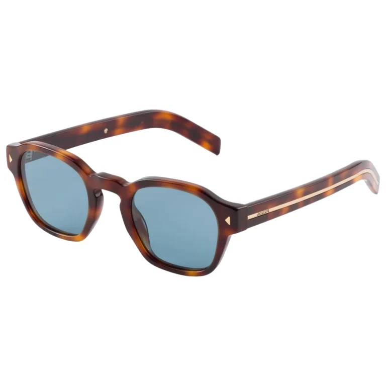 tortoiseshell sunglasses with the iconic metal plaque