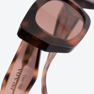 Sunglasses – Brown
